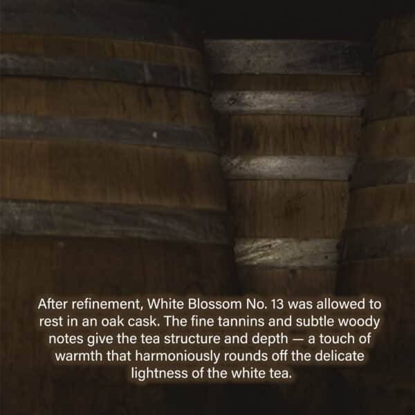 After refinement, White Blossom No. 13 was allowed to rest in an oak cask. The fine tannins and subtle woody notes give the tea structure and depth — a touch of warmth that harmoniously rounds off the delicate lightness of the white tea.