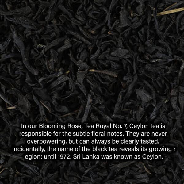 In our Blooming Rose, Tea Royal No. 7, Ceylon tea is responsible for the subtle floral notes. They are never overpowering, but can always be clearly tasted. Incidentally, the name of the black tea reveals its growing region: until 1972, Sri Lanka was known as Ceylon. Its name is as lovely as its colour is picturesque. The delicate salmon pink colour of Blooming Rose can be traced back to the hibiscus blossoms that form the base together with the black tea. The flowers also contribute to the