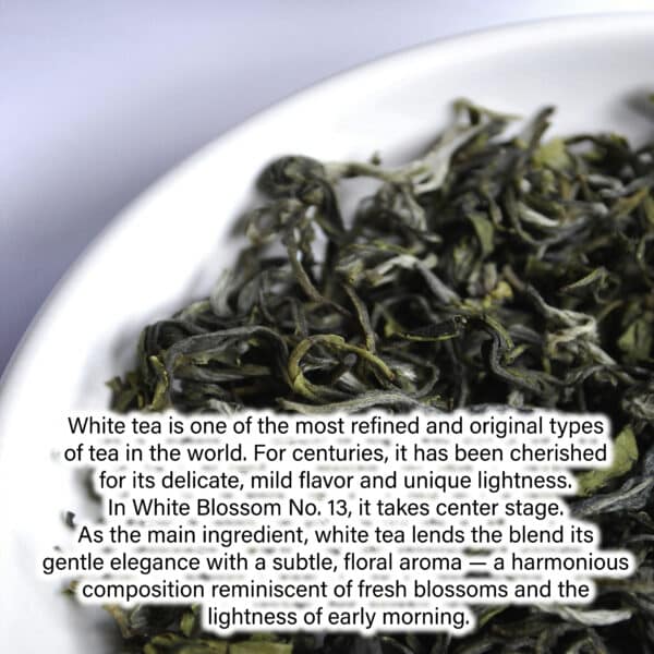 White tea is one of the most refined and original types of tea in the world. For centuries, it has been cherished for its delicate, mild flavor and unique lightness. In White Blossom No. 13, it takes center stage. As the main ingredient, white tea lends the blend its gentle elegance with a subtle, floral aroma — a harmonious composition reminiscent of fresh blossoms and the lightness of early morning.