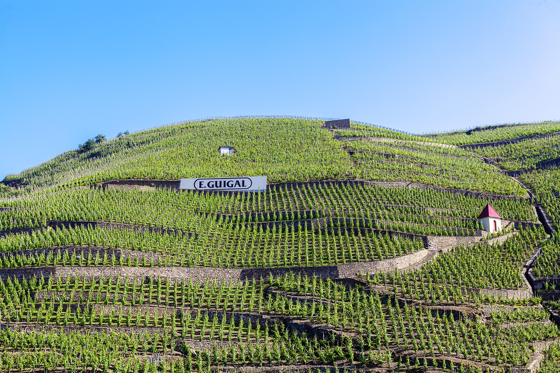 Steep terraced vineyards of Maison E. Guigal in Côte-Rôtie