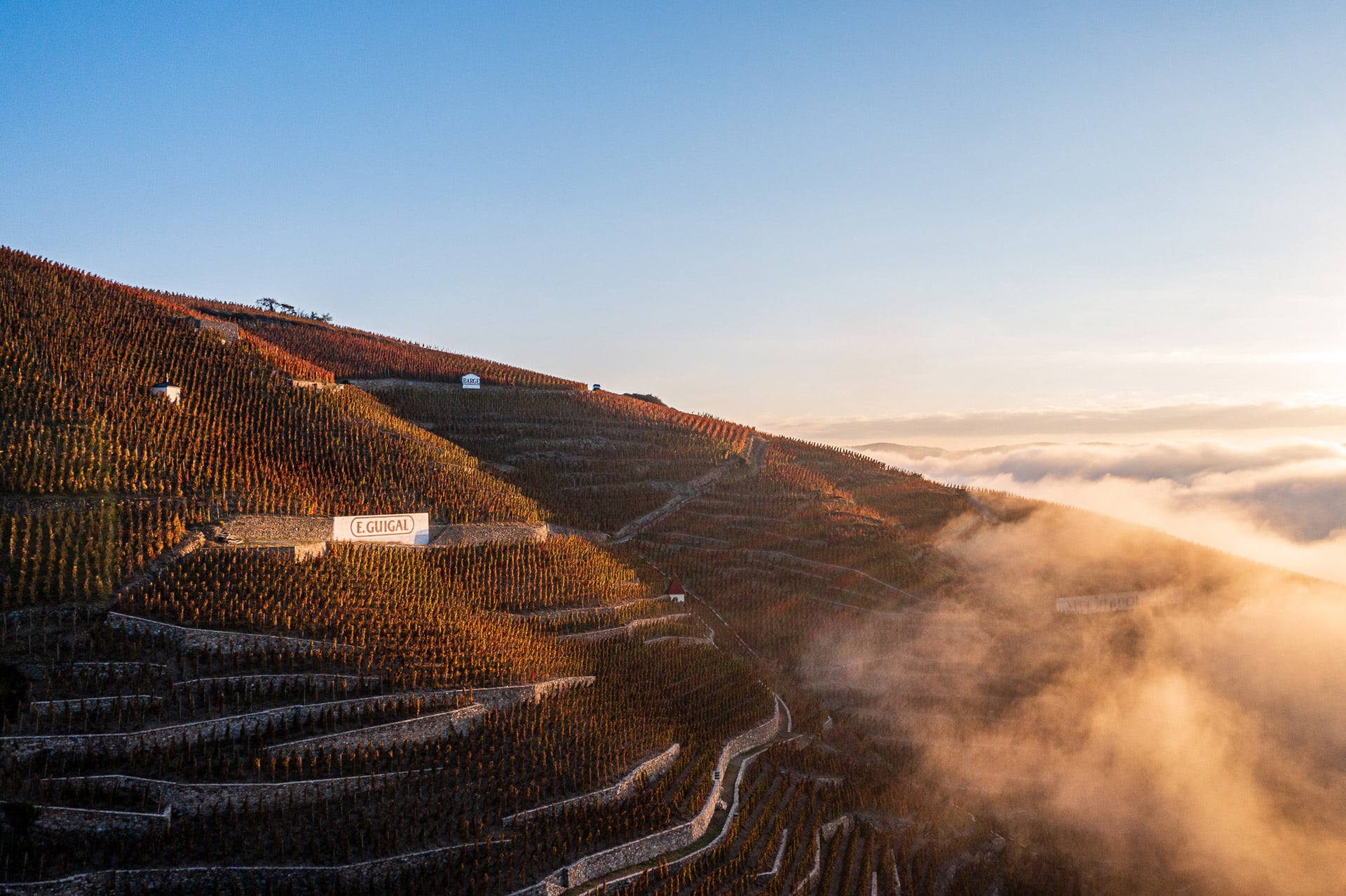 Golden autumn vineyards of Maison E. Guigal in Côte-Rôtie