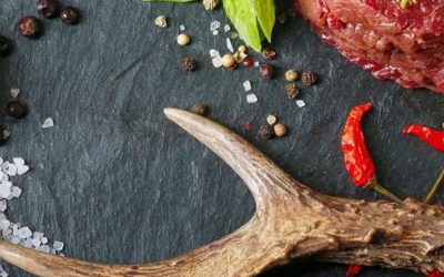 roasted venison game meat dish ideal for rich red wine pairing